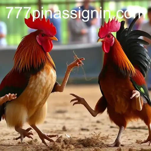 Exploring the World of Online Sabong: 777PINAS